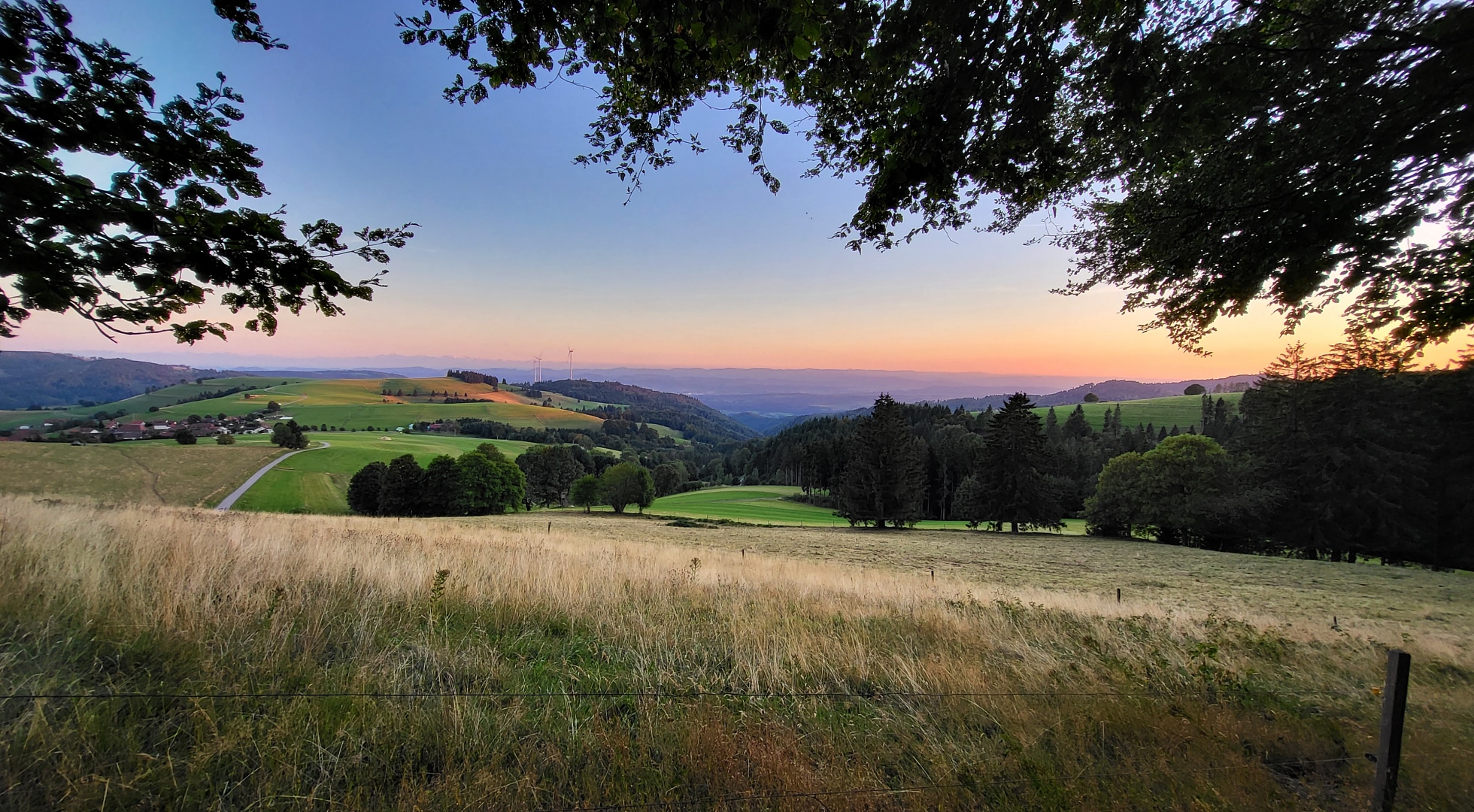 Blick auf den südl. Schwarzwald - in der Abendsonne