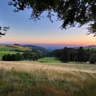 Blick auf den südl. Schwarzwald - in der Abendsonne