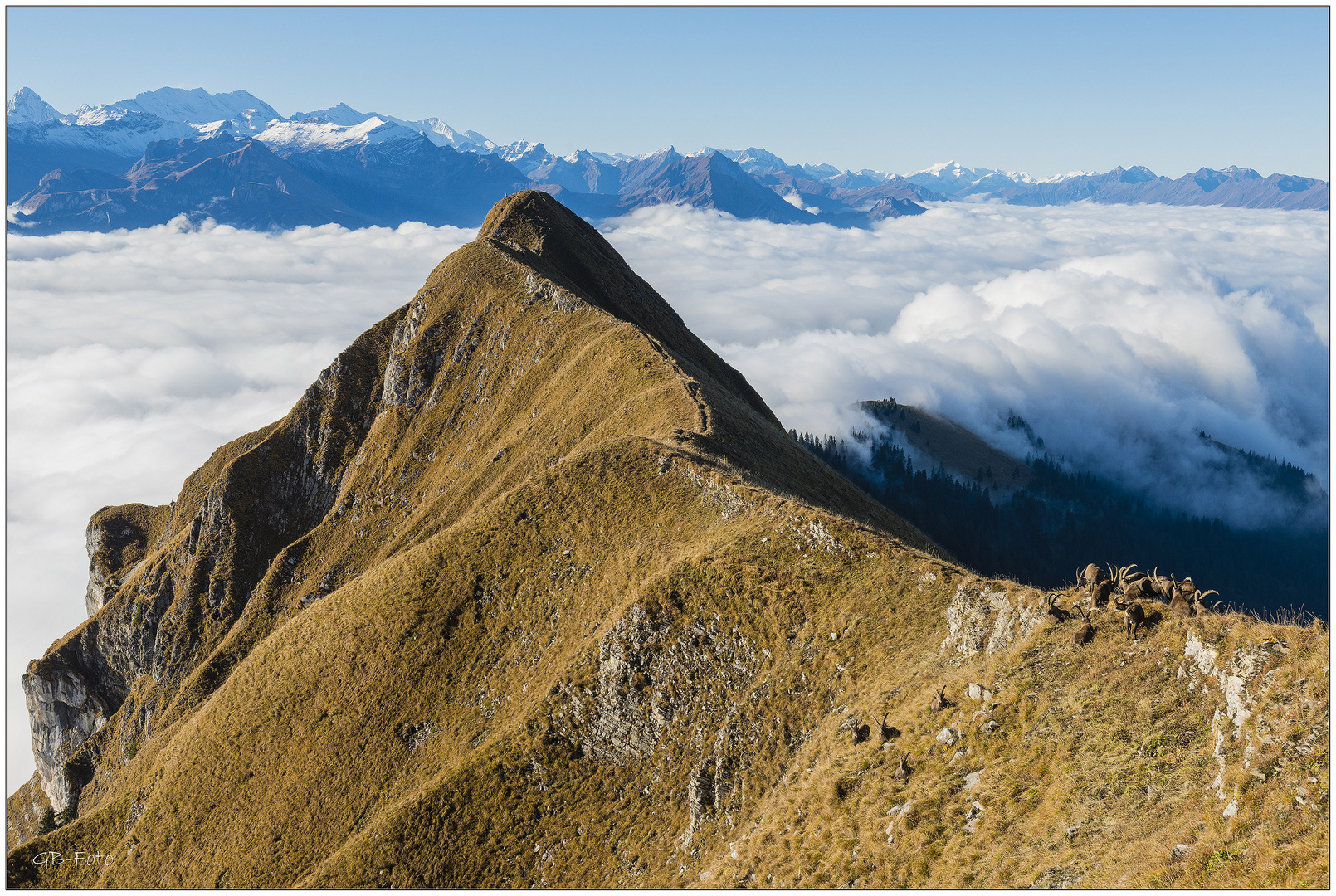 Blick auf den Suggiture