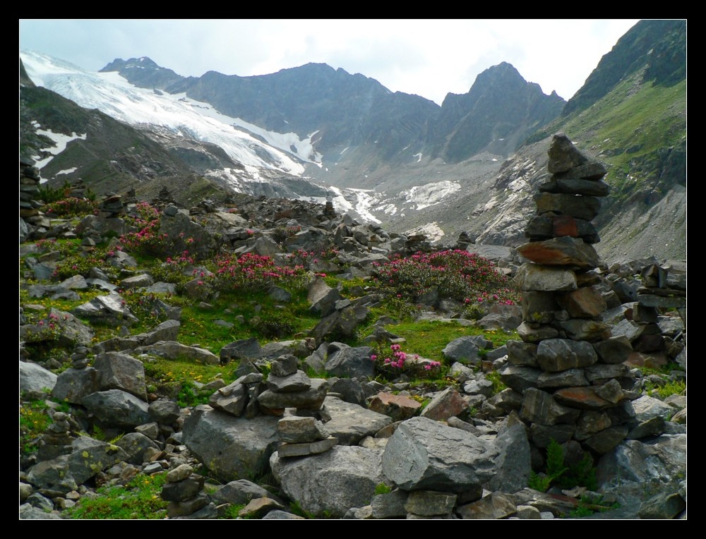 Blick auf den Sulzenauer Gletscher