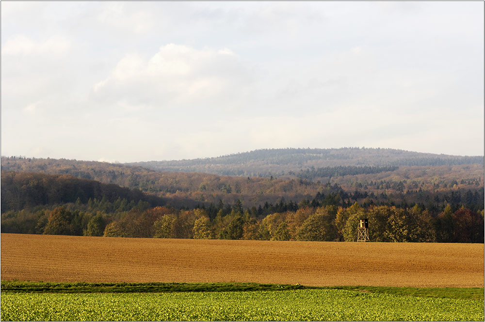 Blick auf den Taunus