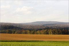 Blick auf den Taunus