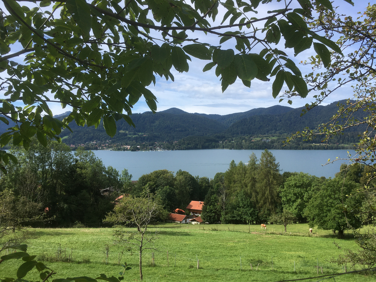 Blick auf den Tegernsee