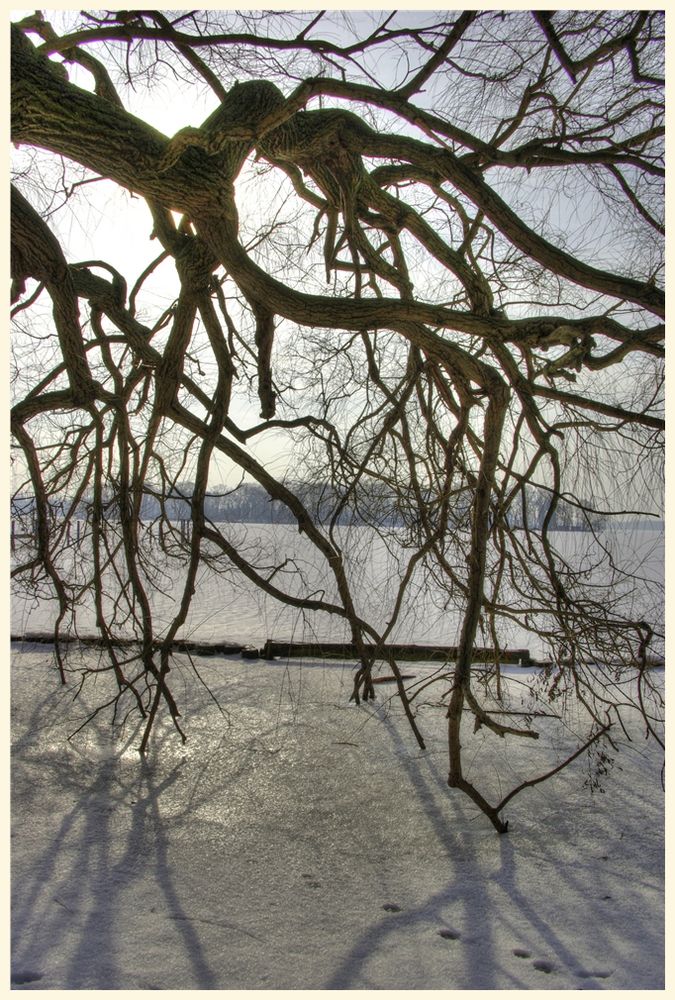 blick auf den tegler see 2