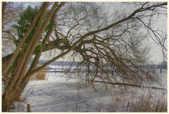 blick auf den tegler see