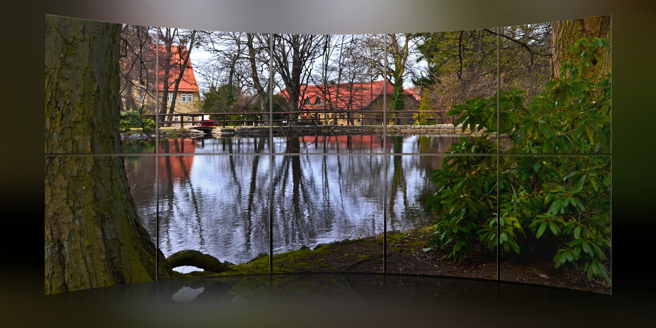 ~ Blick auf den Teich ~