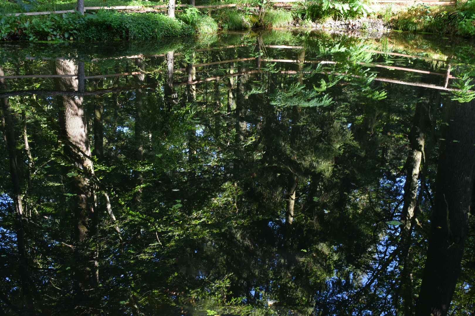 Blick auf den Teich