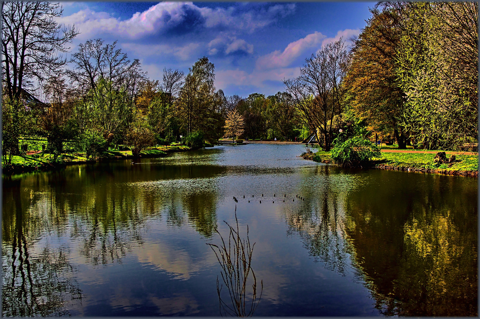 Blick auf den Teich ...