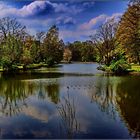 Blick auf den Teich ...