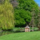 Blick auf den Teich