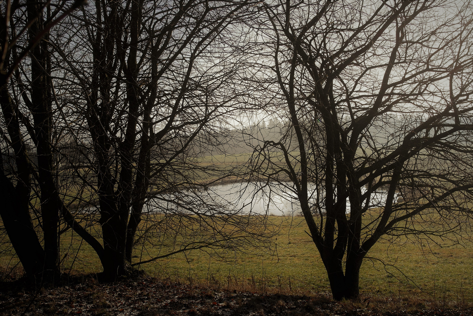 Blick auf den Teich