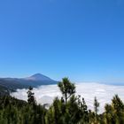 Blick auf den Teide