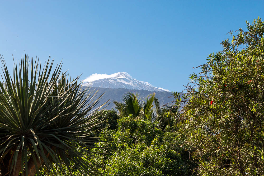 Blick auf den Teide