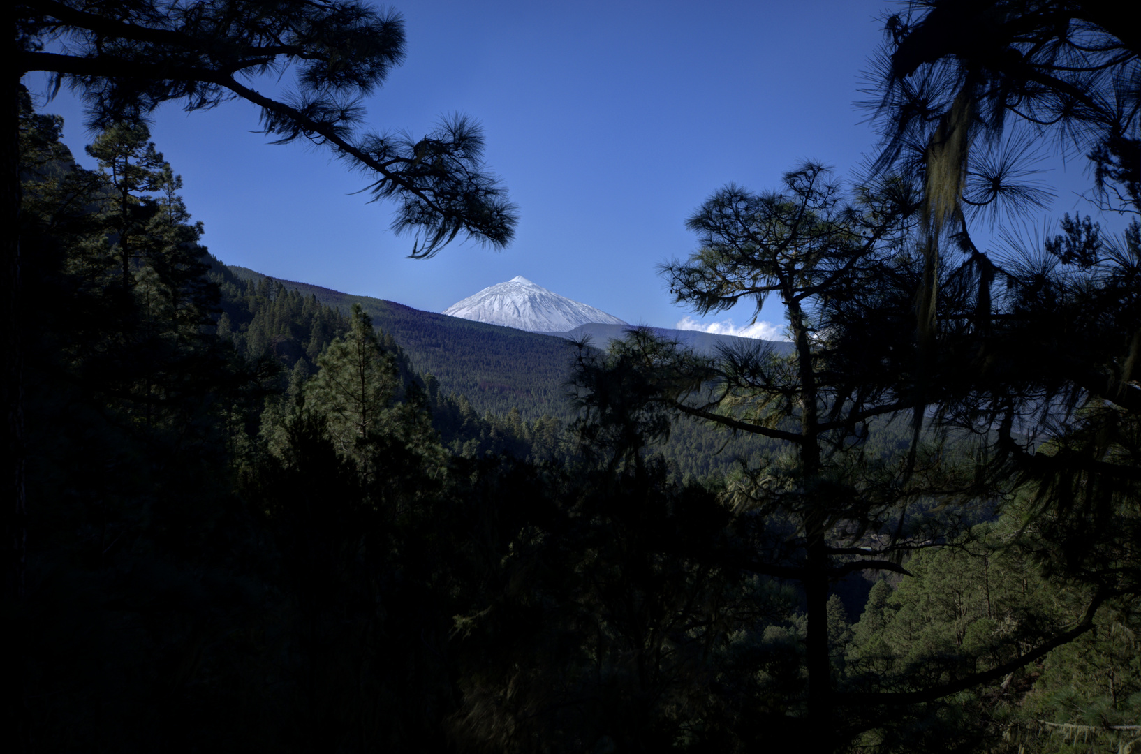 Blick auf den Teide