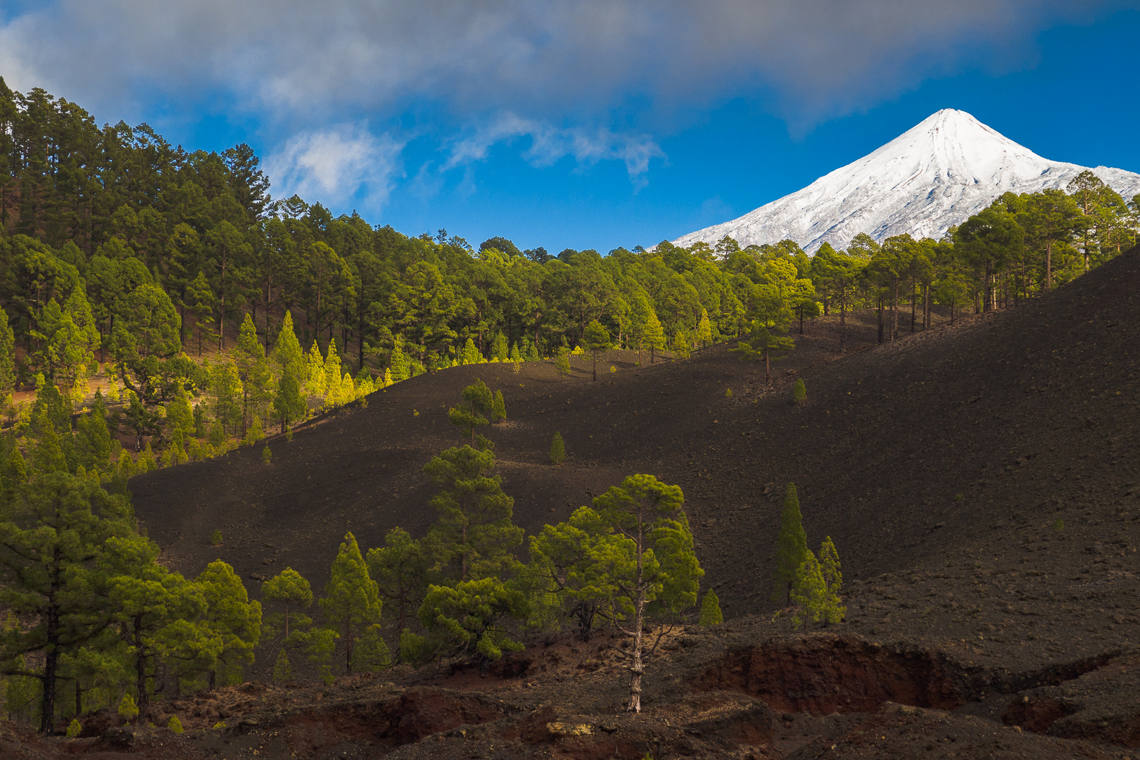 Blick auf den Teide..