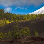 Blick auf den Teide..