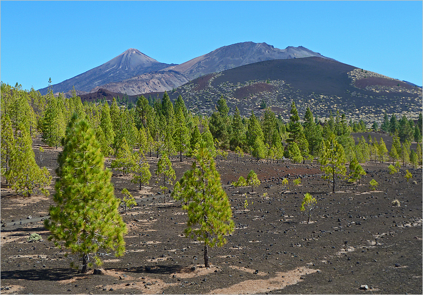 Blick auf den Teide...