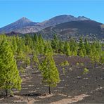 Blick auf den Teide...