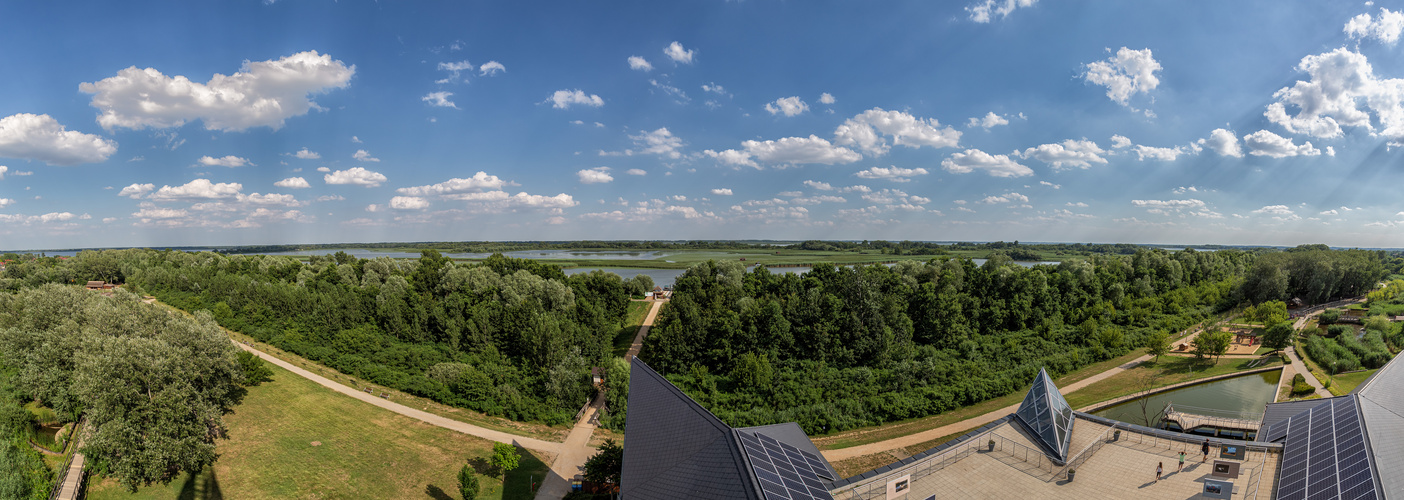 Blick auf den Theißsee