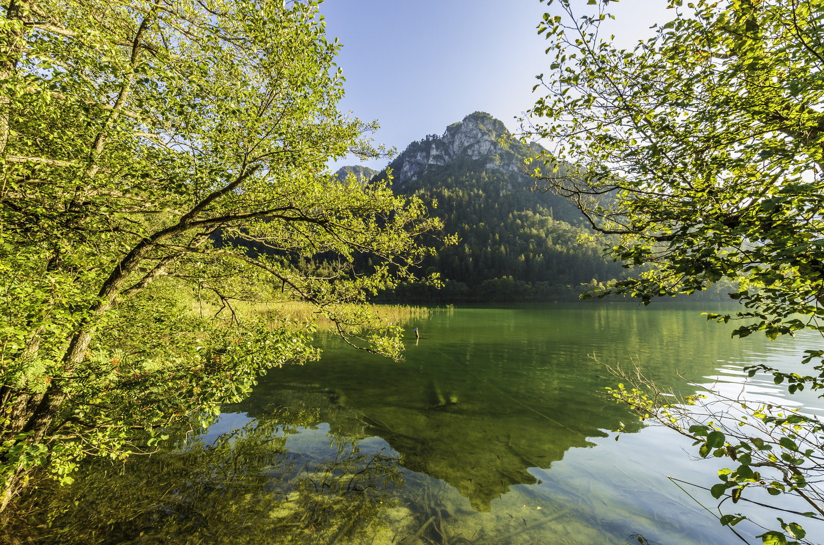 Blick auf den Thumsee