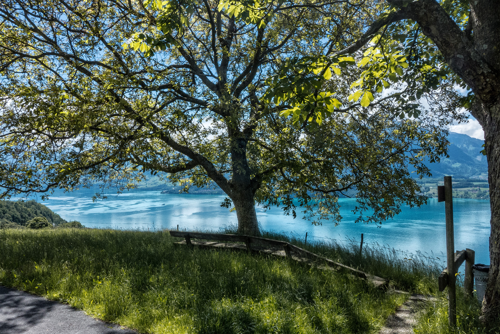 Blick auf den Thunersee