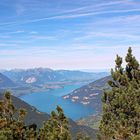 Blick auf den Thunersee ...