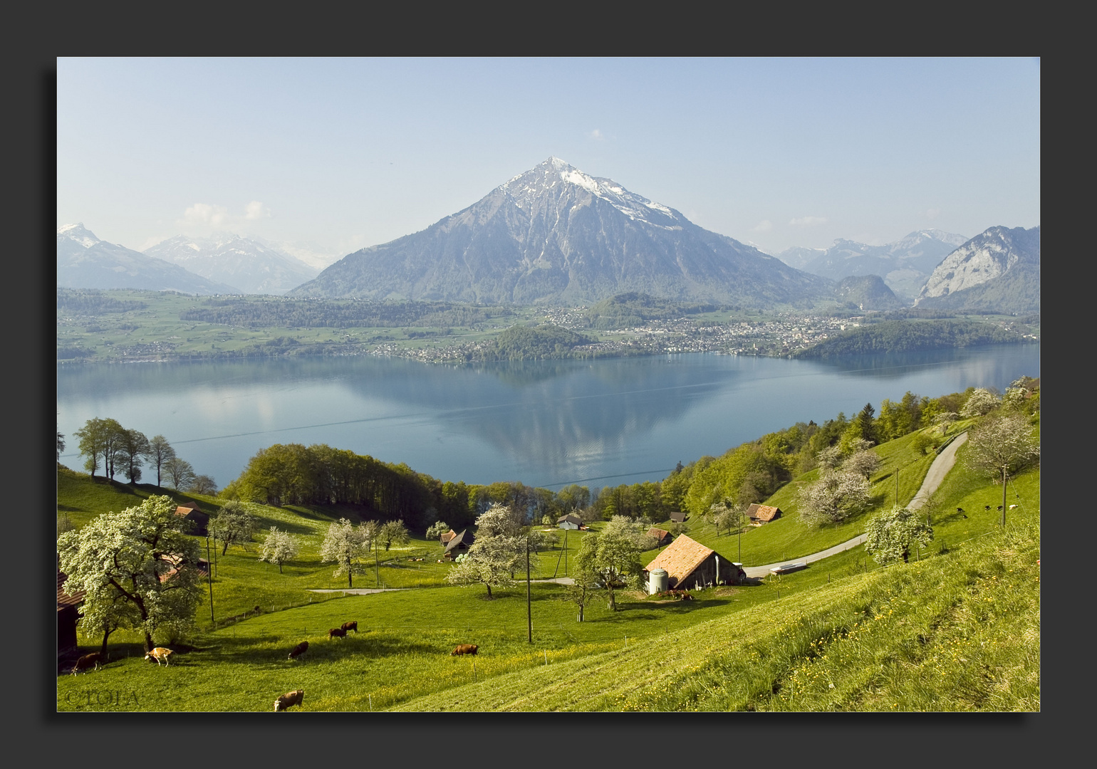 Blick auf den Thunersee