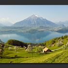 Blick auf den Thunersee