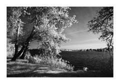 Blick auf den Tiefwarensee III