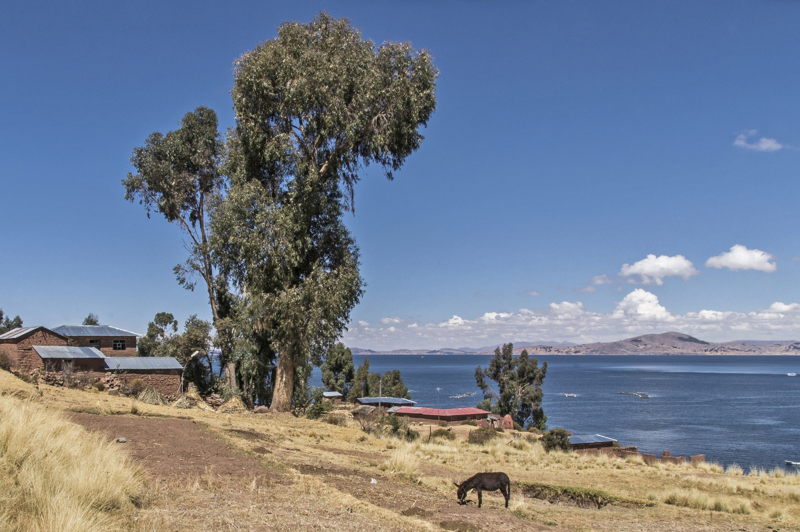 Blick auf den Titicaca-See