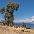 Blick auf den Titicaca-See