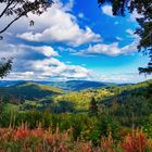 Blick auf den Titisee 