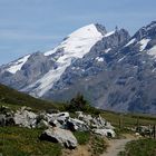 Blick auf den Titlis