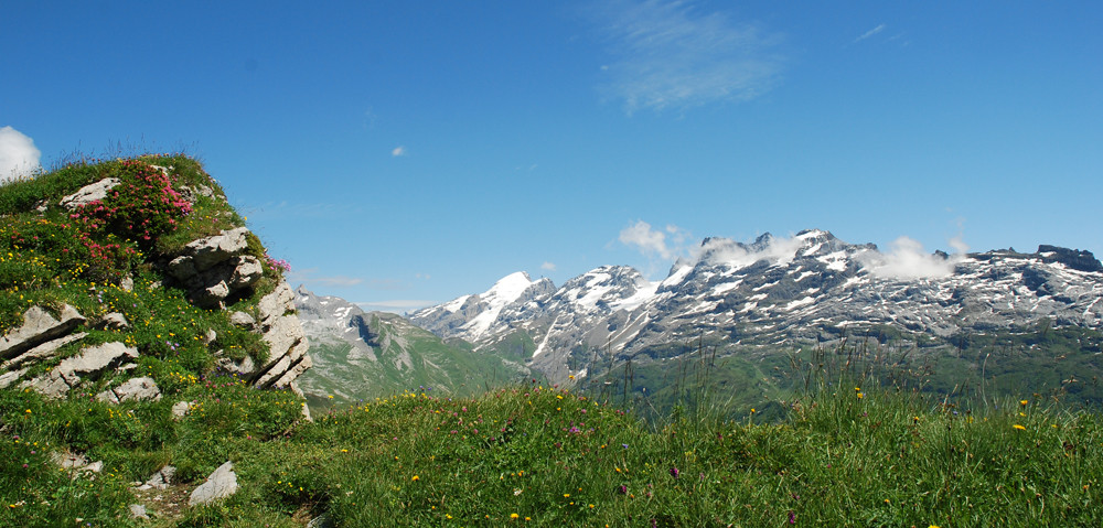 Blick auf den Titlis