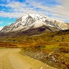 Blick auf den Torres del Paine