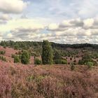 Blick auf den Totengrund