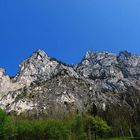 Blick auf den Traunstein