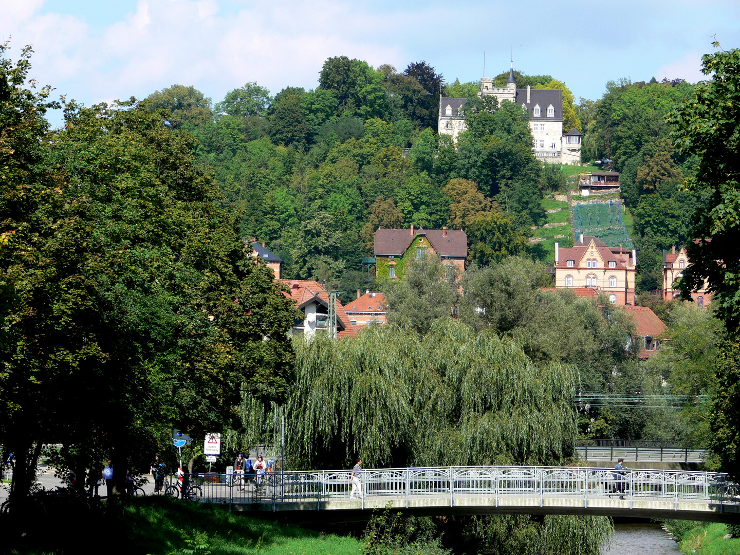 Blick auf den Tübinger Österberg