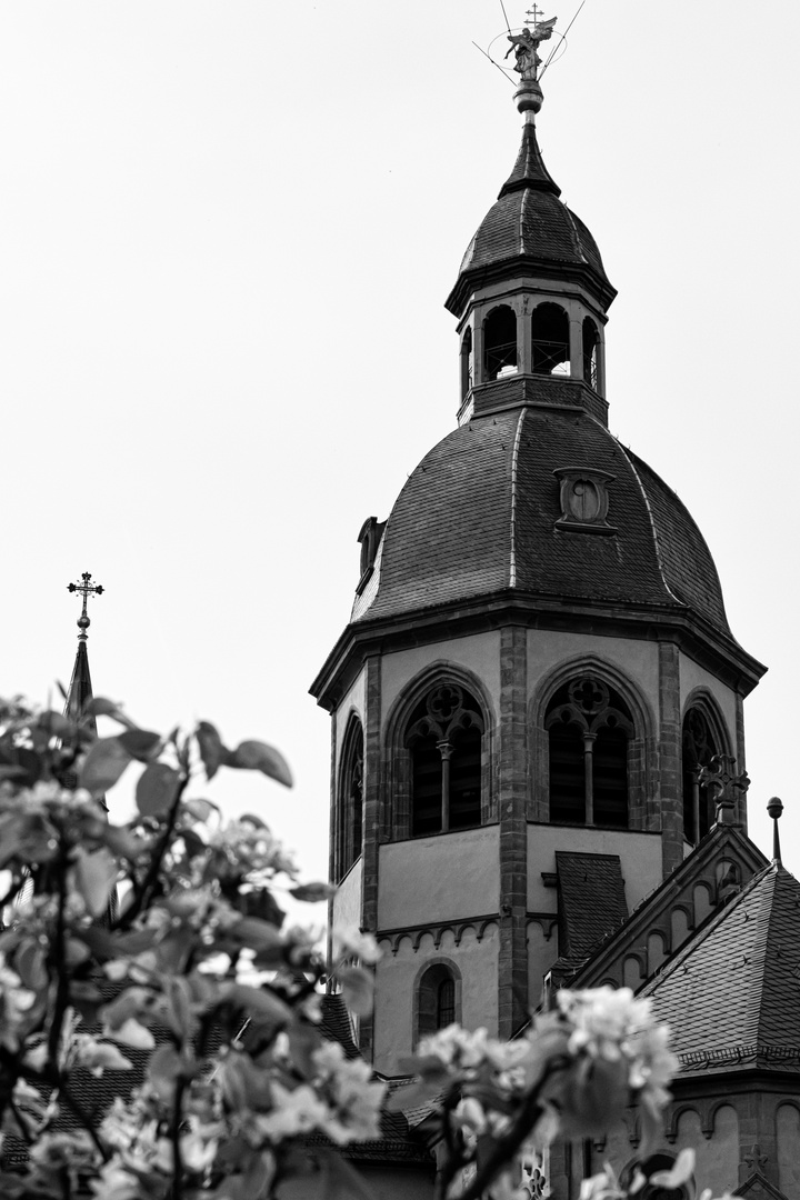 Blick auf den Turm