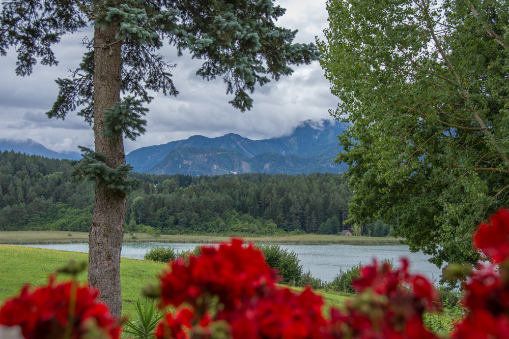 Blick auf den Turnersee