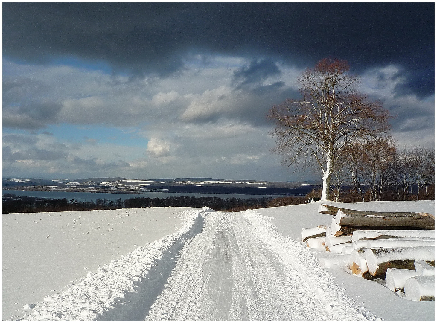 Blick auf den Untersee oberhalb Steckborn