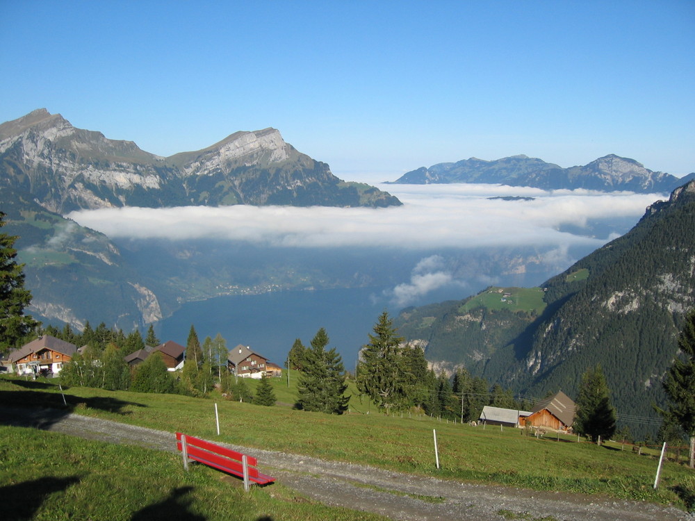 Blick auf den Urner See von Eggberge