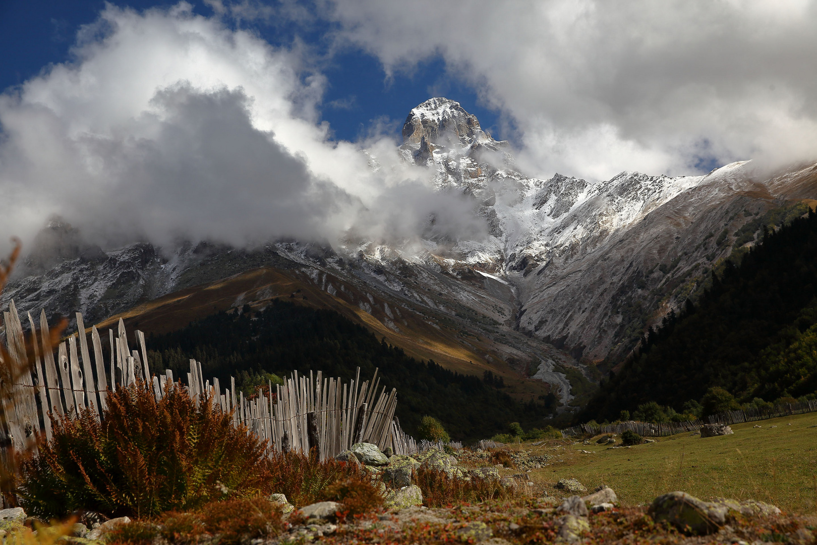 Blick auf den Ushba