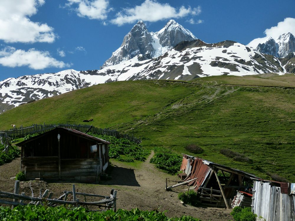 Blick auf den Ushba (4737 m).