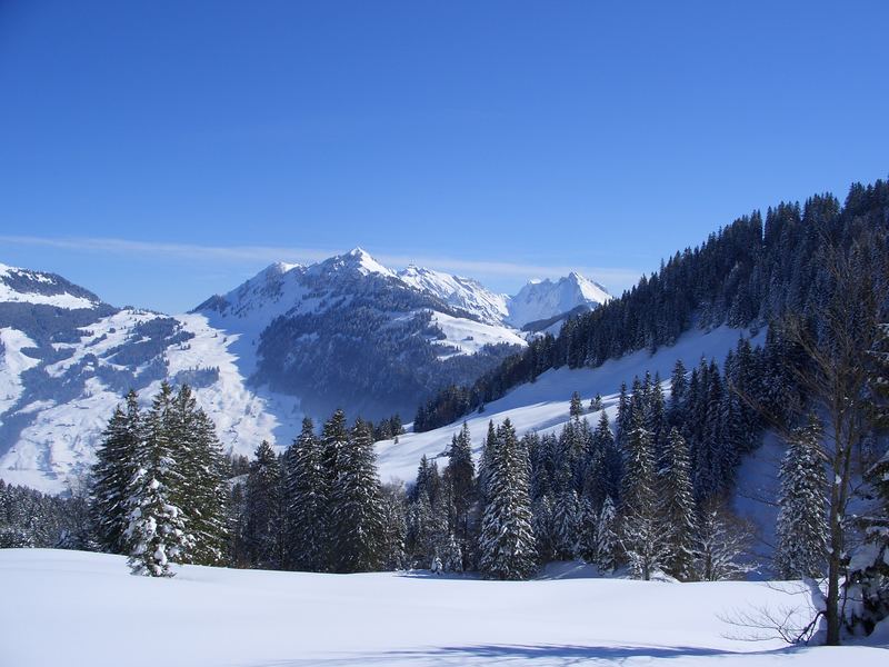 Blick auf den verschneiten Säntis