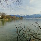 Blick auf den Vierwaldstaettersee mit Sicht aufs Ufer und die Berge