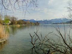 Blick auf den Vierwaldstaettersee mit Sicht aufs Ufer und die Berge