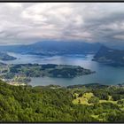 Blick auf den Vierwaldstättersee und meinen Wohnort Horw