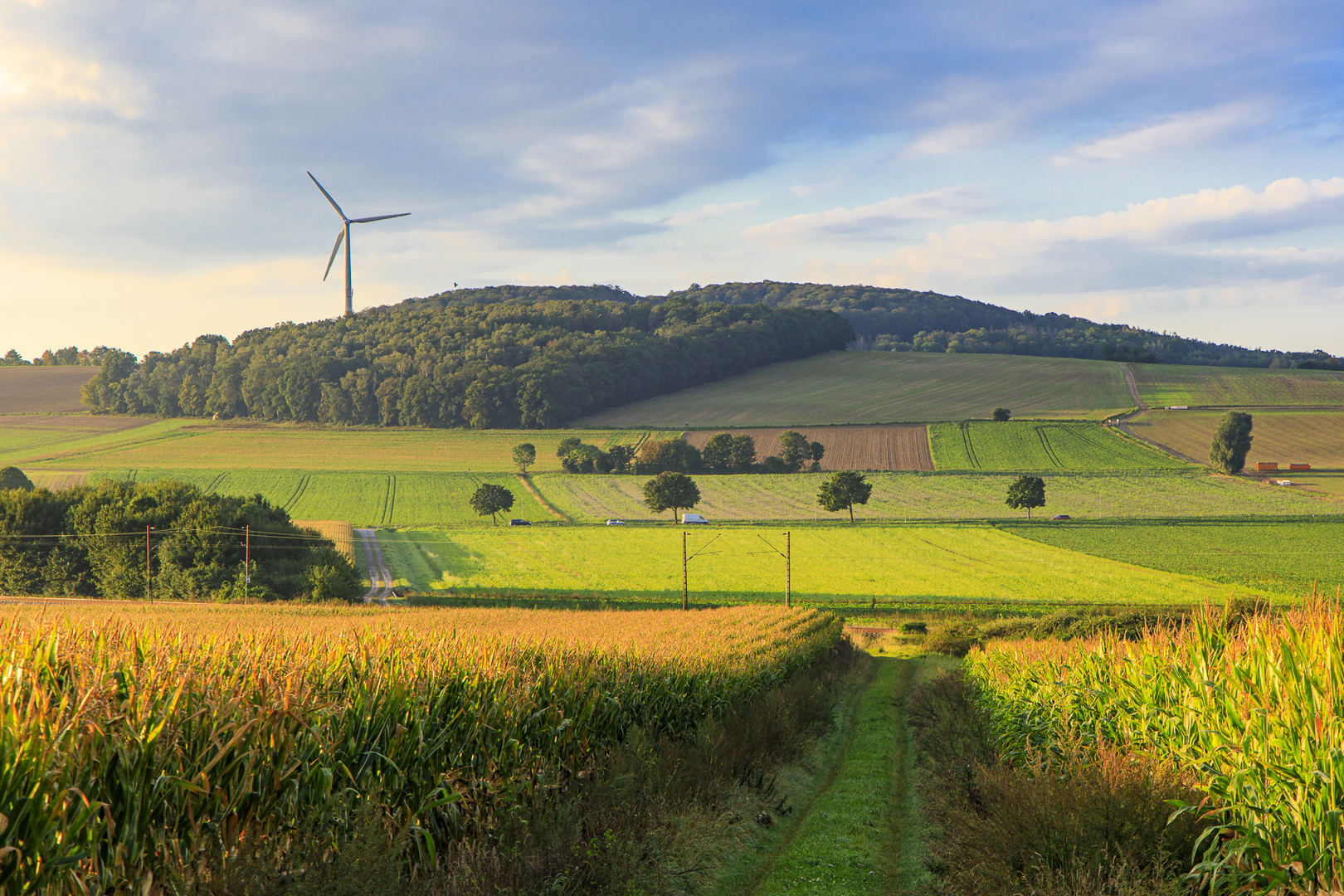 Blick auf den Vörier Berg