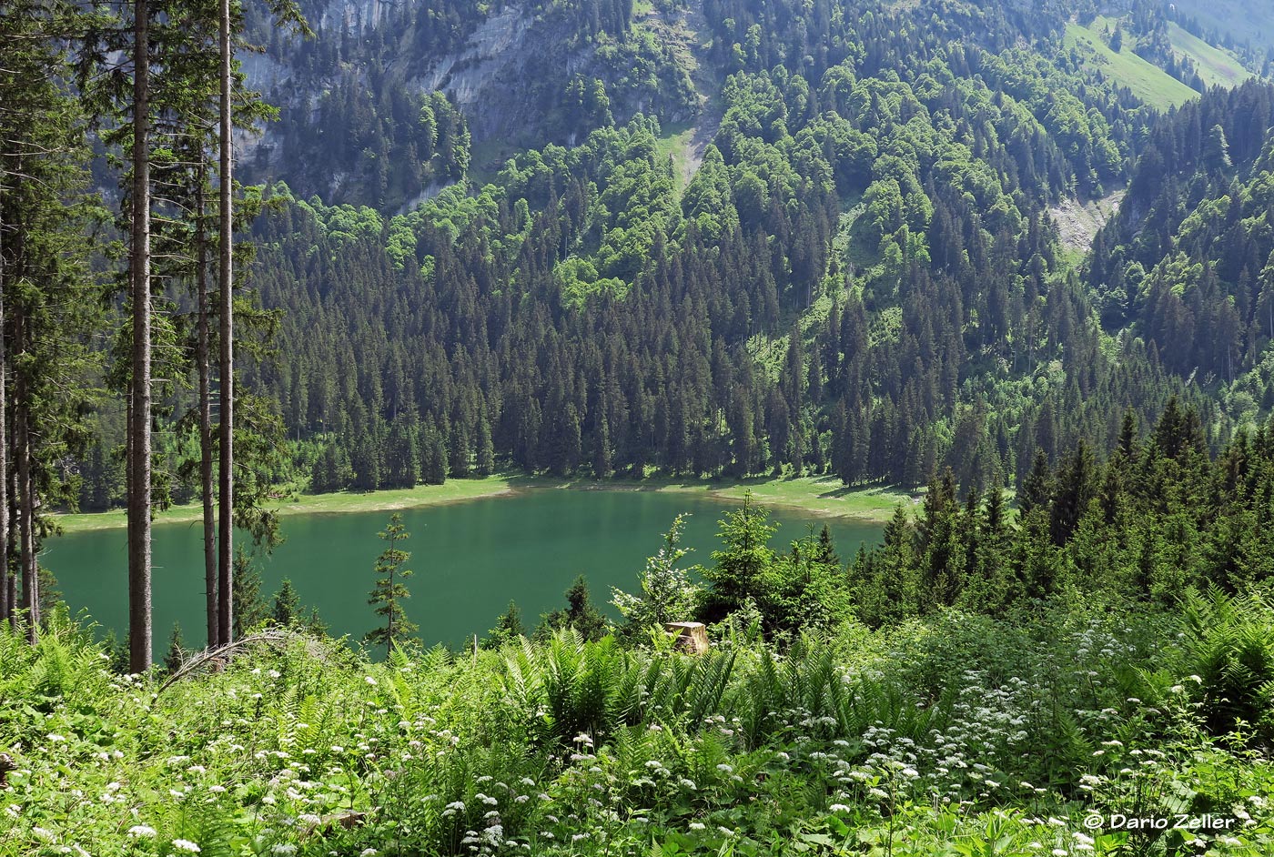 Blick auf den Voralpsee